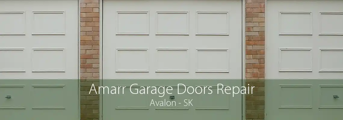 Amarr Garage Doors Repair Avalon - SK