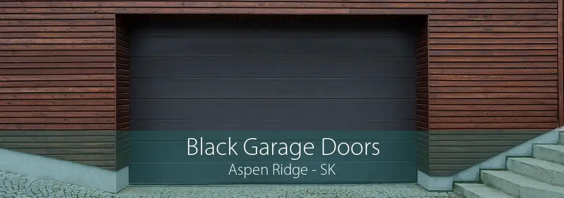 Black Garage Doors Aspen Ridge - SK