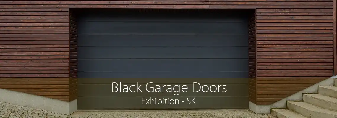 Black Garage Doors Exhibition - SK