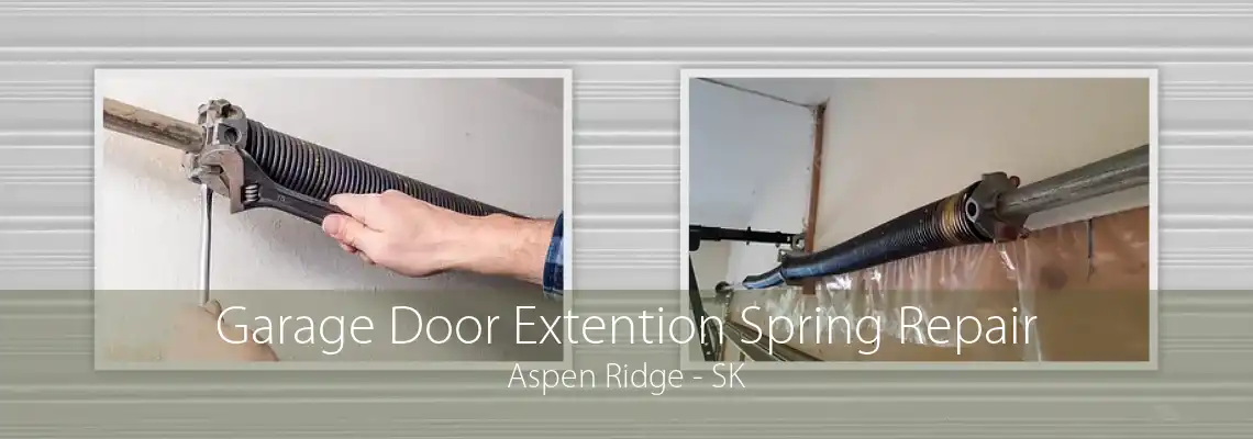 Garage Door Extention Spring Repair Aspen Ridge - SK