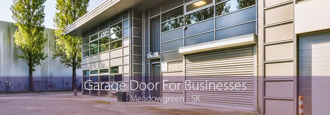 Garage Door For Businesses Meadowgreen - SK