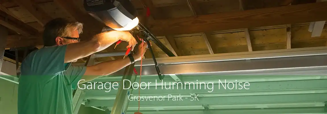 Garage Door Humming Noise Grosvenor Park - SK