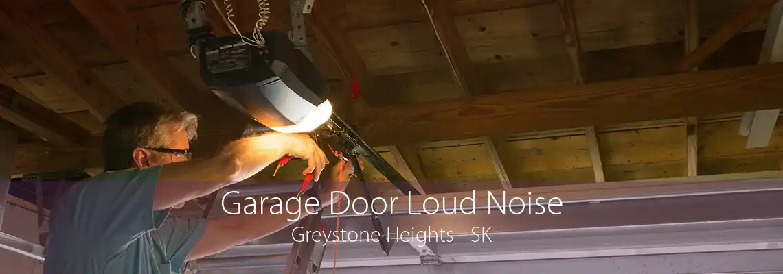 Garage Door Loud Noise Greystone Heights - SK