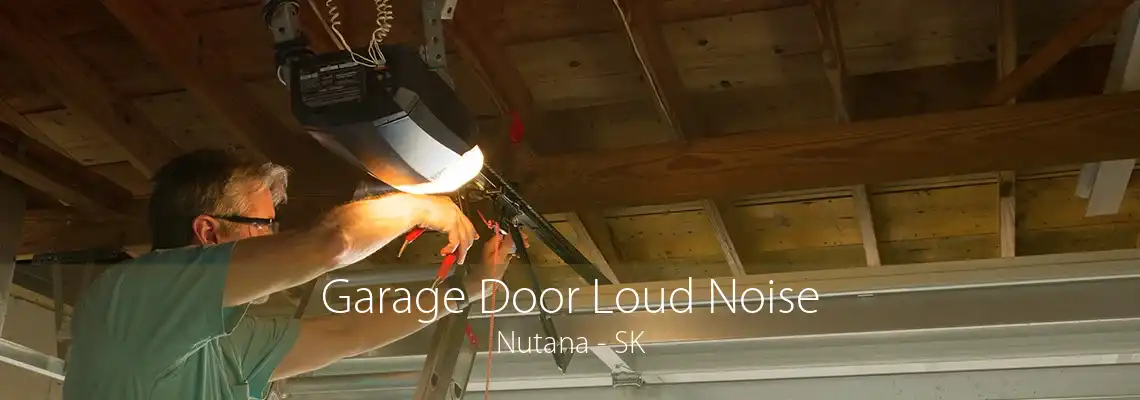 Garage Door Loud Noise Nutana - SK