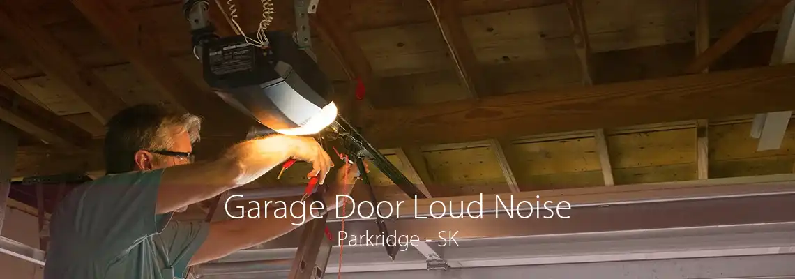 Garage Door Loud Noise Parkridge - SK