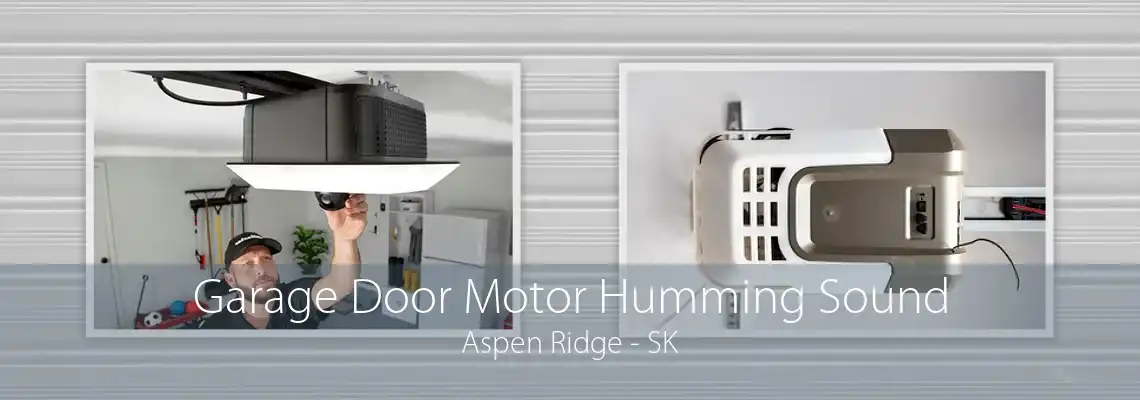 Garage Door Motor Humming Sound Aspen Ridge - SK