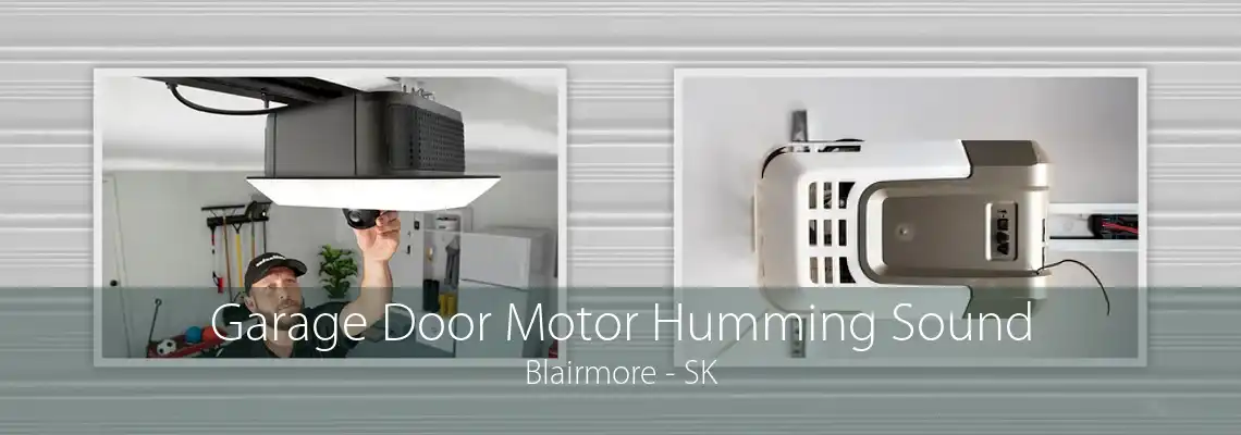 Garage Door Motor Humming Sound Blairmore - SK