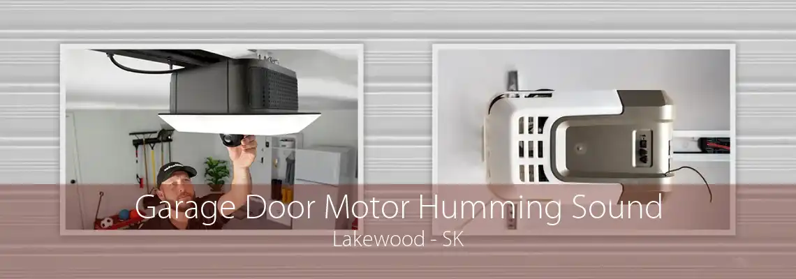 Garage Door Motor Humming Sound Lakewood - SK