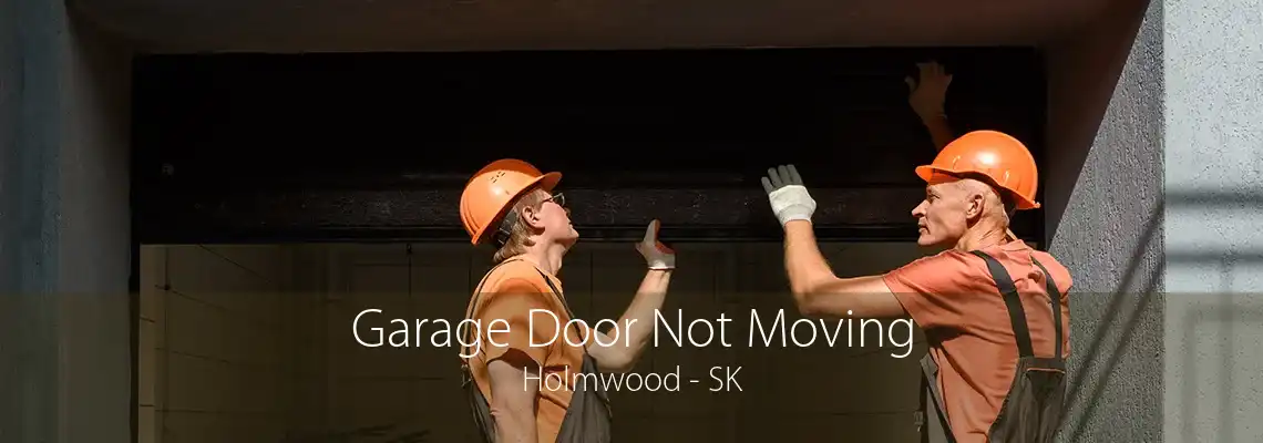 Garage Door Not Moving Holmwood - SK