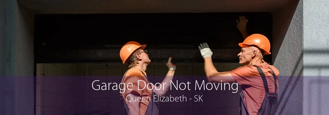 Garage Door Not Moving Queen Elizabeth - SK