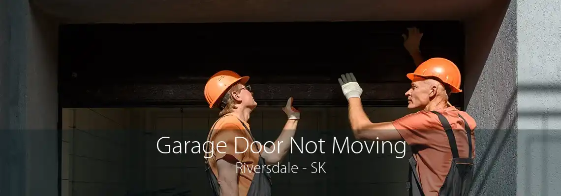 Garage Door Not Moving Riversdale - SK