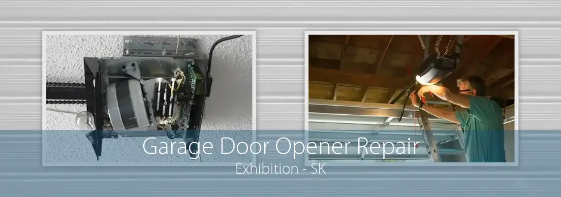Garage Door Opener Repair Exhibition - SK