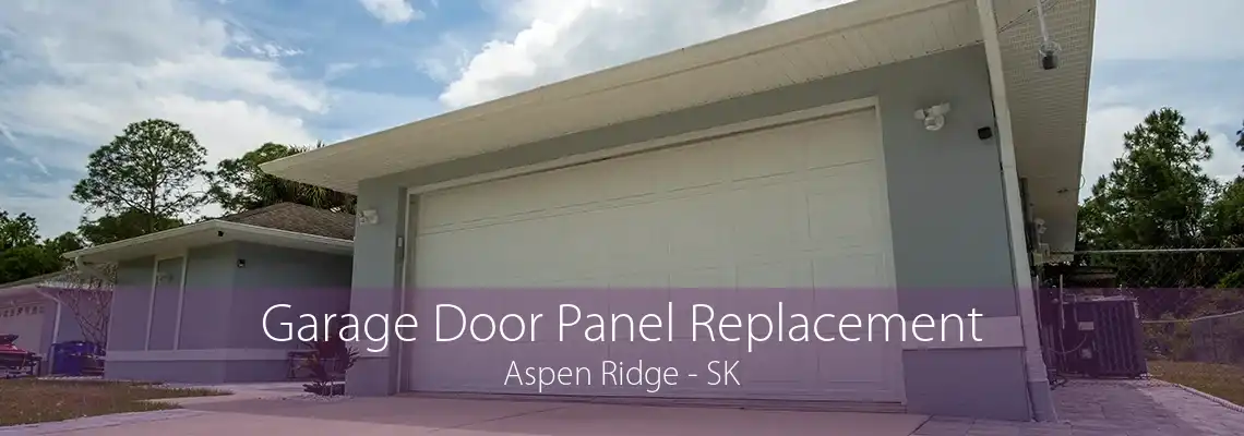 Garage Door Panel Replacement Aspen Ridge - SK