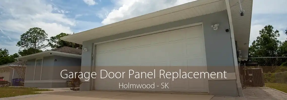 Garage Door Panel Replacement Holmwood - SK