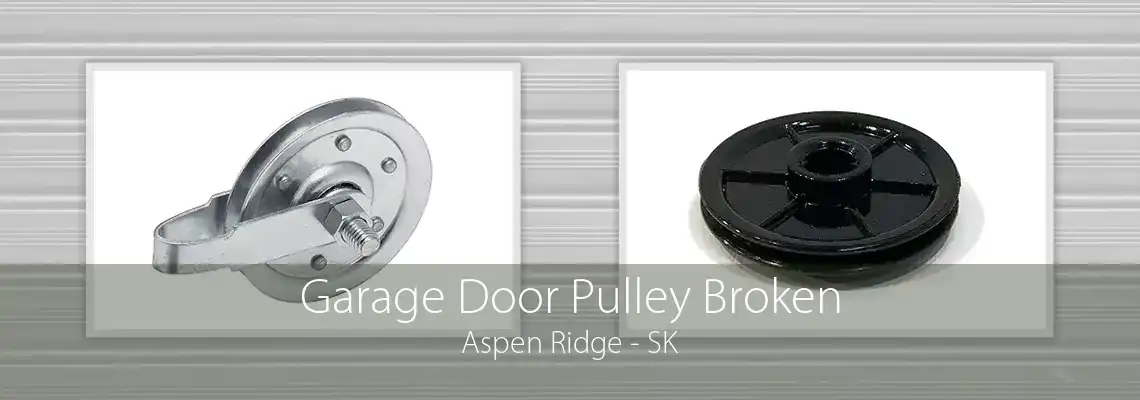 Garage Door Pulley Broken Aspen Ridge - SK