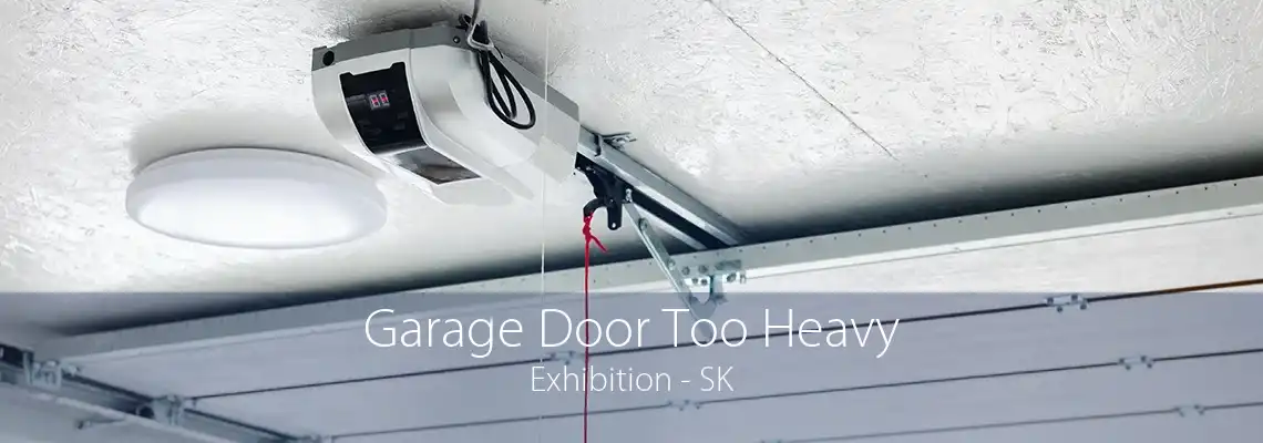 Garage Door Too Heavy Exhibition - SK
