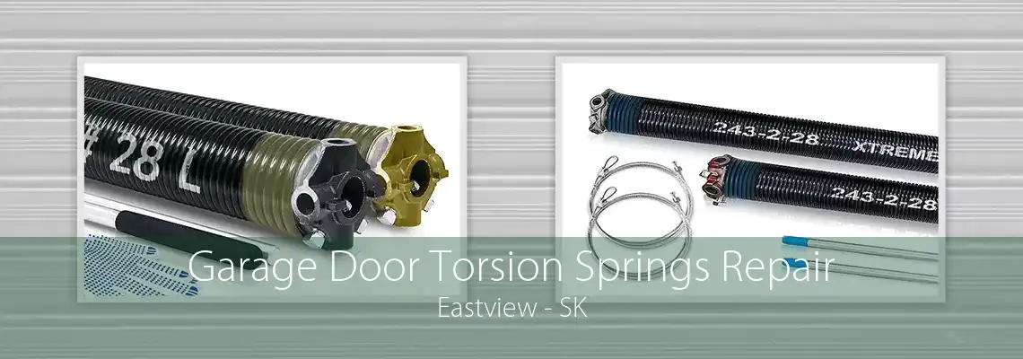 Garage Door Torsion Springs Repair Eastview - SK