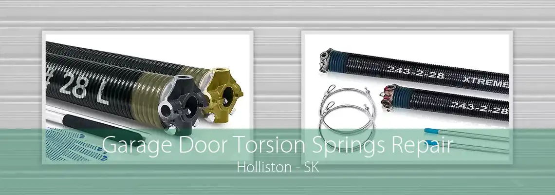 Garage Door Torsion Springs Repair Holliston - SK