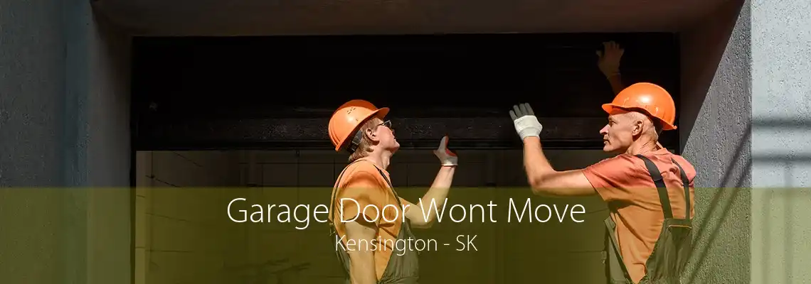 Garage Door Wont Move Kensington - SK