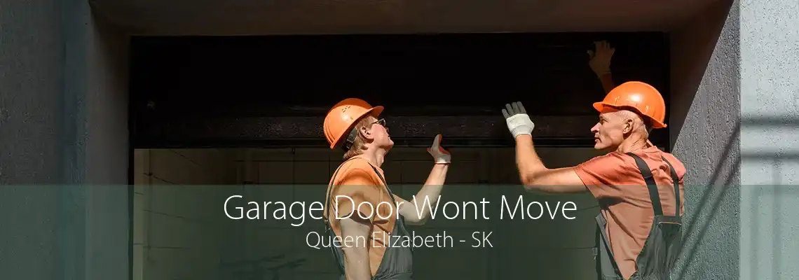 Garage Door Wont Move Queen Elizabeth - SK