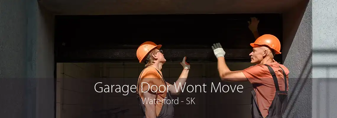 Garage Door Wont Move Waterford - SK