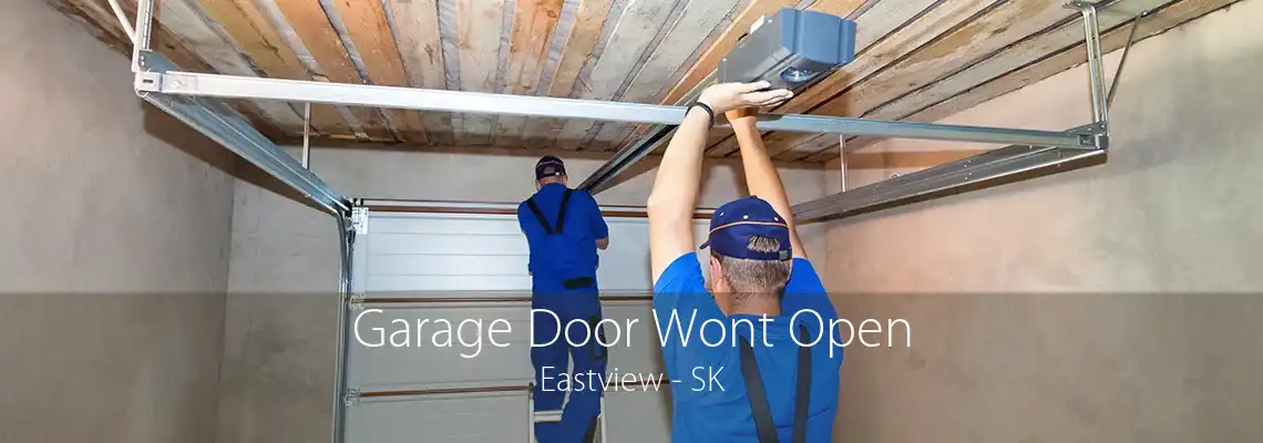 Garage Door Wont Open Eastview - SK