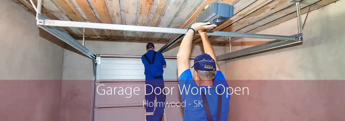 Garage Door Wont Open Holmwood - SK
