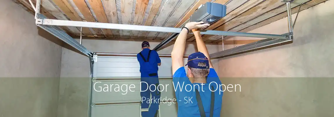 Garage Door Wont Open Parkridge - SK