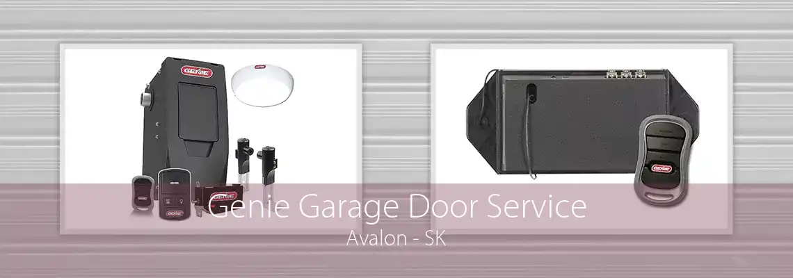 Genie Garage Door Service Avalon - SK