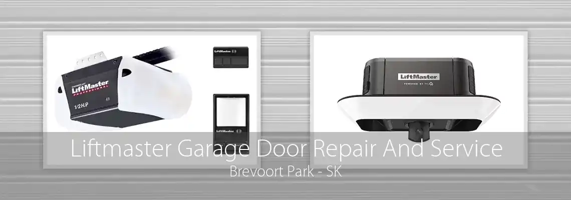 Liftmaster Garage Door Repair And Service Brevoort Park - SK