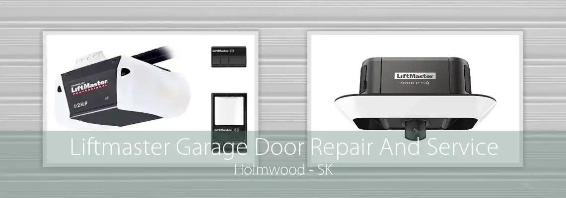 Liftmaster Garage Door Repair And Service Holmwood - SK
