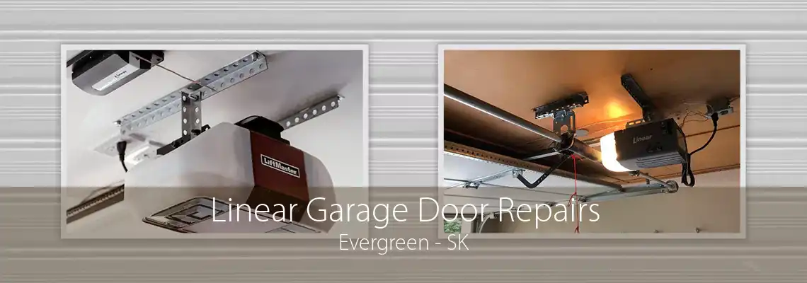 Linear Garage Door Repairs Evergreen - SK