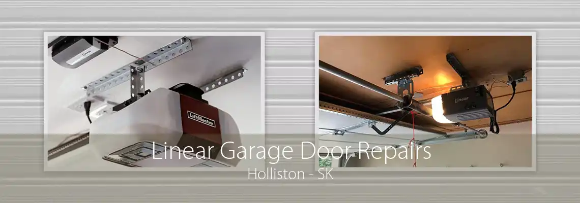 Linear Garage Door Repairs Holliston - SK
