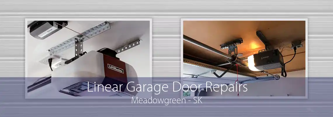 Linear Garage Door Repairs Meadowgreen - SK