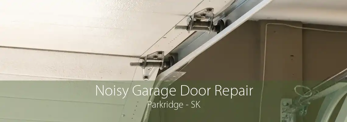 Noisy Garage Door Repair Parkridge - SK