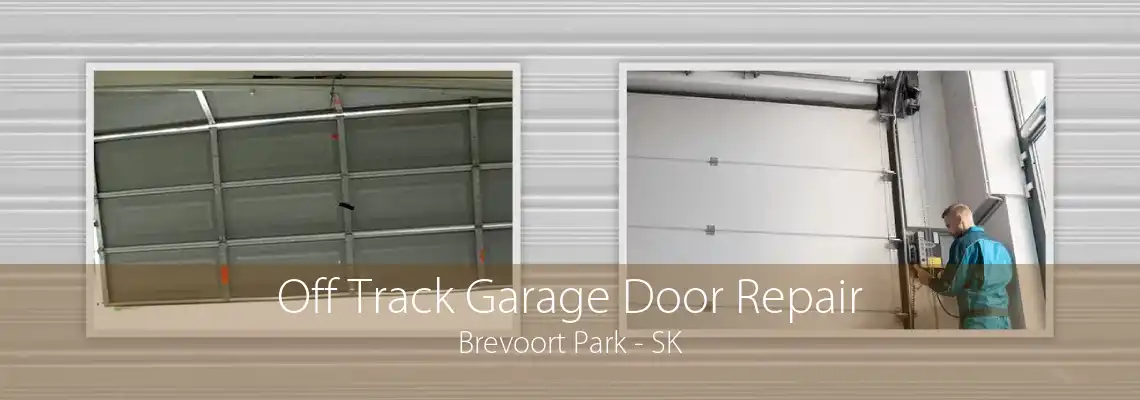 Off Track Garage Door Repair Brevoort Park - SK