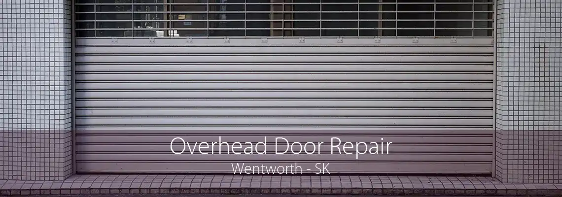 Overhead Door Repair Wentworth - SK