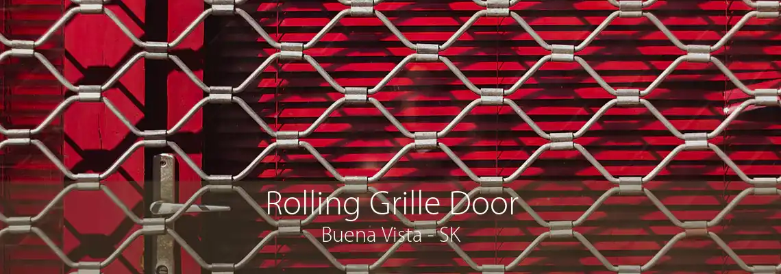 Rolling Grille Door Buena Vista - SK