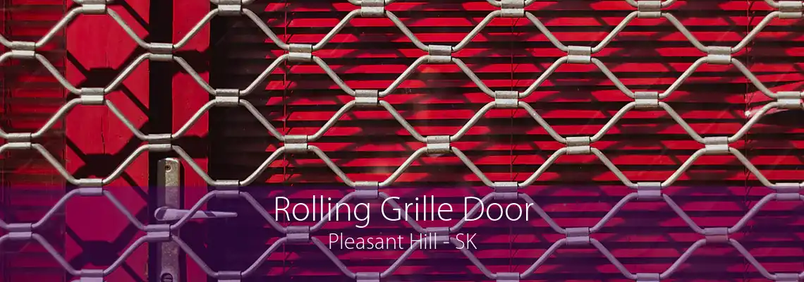 Rolling Grille Door Pleasant Hill - SK