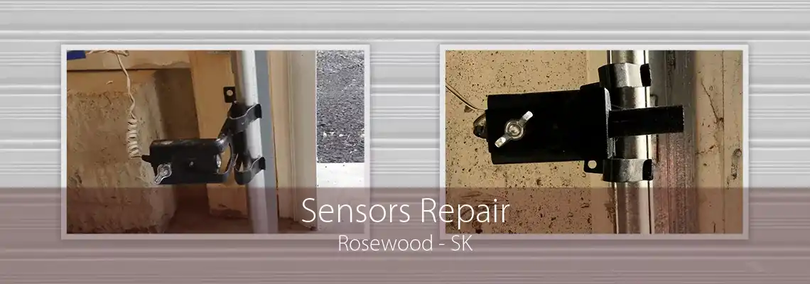 Sensors Repair Rosewood - SK